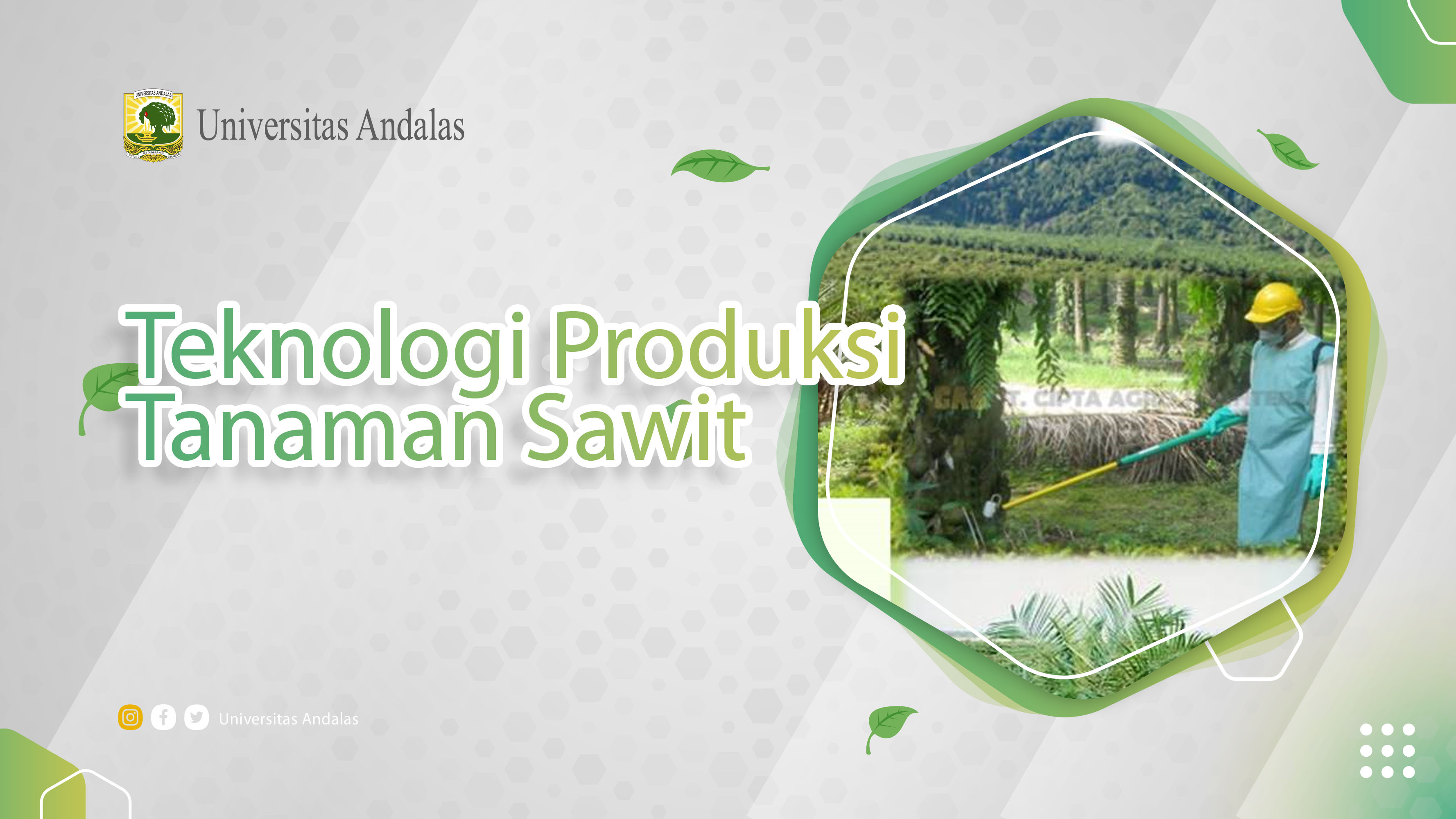 Teknologi Produksi Tanaman Sawit Unandx-2206